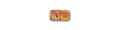 Secret Menu 2-Pack Bundle - Image 193