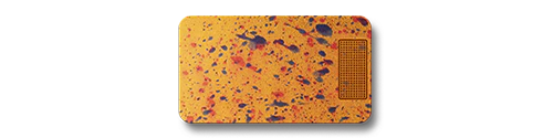 Secret Menu 2-Pack Bundle - Image 196