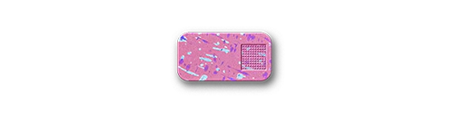 Secret Menu Single Case - Image 151