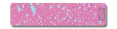 Monthly Pill Case Bundle - Image 106