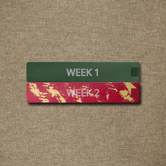 2-Week Case 2.0 - Image 3