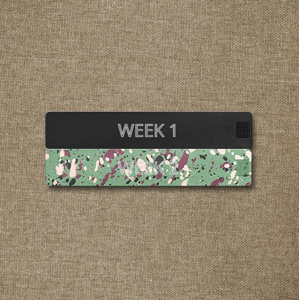 2-Week Case 2.0 - Image 4