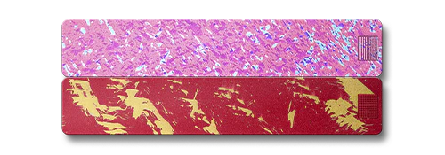 2-Week Pill Case 2.0 - Image 27