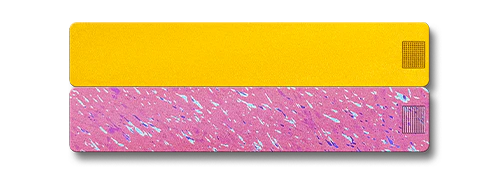 2-Week Pill Case 2.0 - Image 15