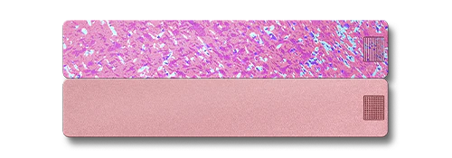 2-Week Pill Case 2.0 - Image 27