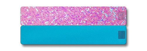 2-Week Pill Case 2.0 - Image 27