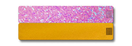 2-Week Pill Case 2.0 - Image 27