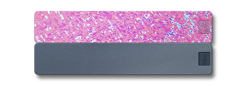 2-Week Pill Case 2.0 - Image 27