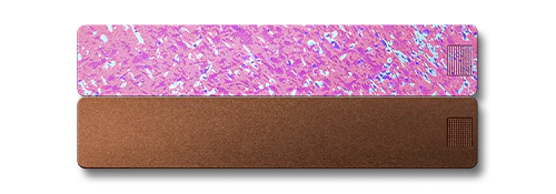 2-Week Pill Case 2.0 - Image 27