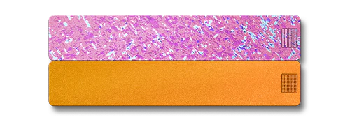 2-Week Pill Case 2.0 - Image 27