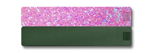 2-Week Pill Case 2.0 - Image 28