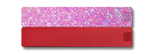 2-Week Pill Case 2.0 - Image 27