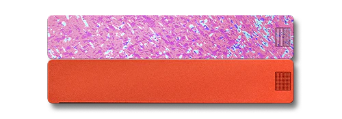 2-Week Pill Case 2.0 - Image 27