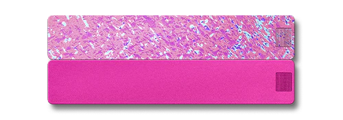2-Week Pill Case 2.0 - Image 27