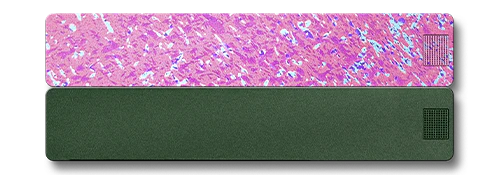 2-Week Vitamin Case 2.0 - Image 27