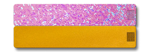 2-Week Vitamin Case 2.0 - Image 27