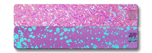 Weekly AM-PM Vitamin Case 2.0 - Image 27