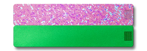 2-Week Vitamin Case 2.0 - Image 27