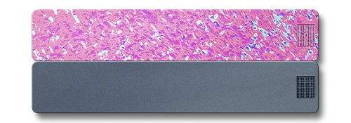 Weekly AM-PM Vitamin Case 2.0 - Image 27