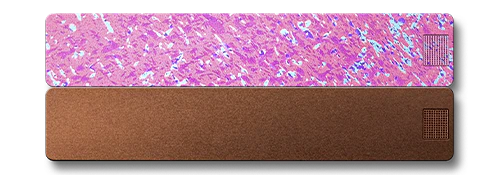 2-Week Vitamin Case 2.0 - Image 27