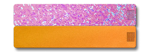 Weekly AM-PM Vitamin Case 2.0 - Image 27