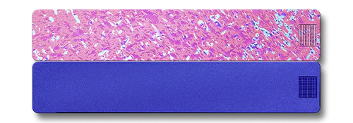 2-Week Vitamin Case 2.0 - Image 27