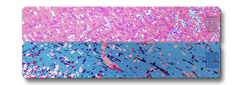 2-Week Vitamin Case 2.0 - Image 27