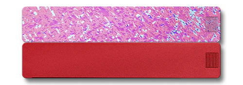 2-Week Vitamin Case 2.0 - Image 27
