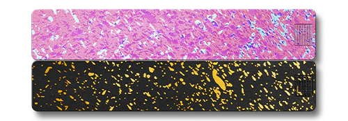 2-Week Vitamin Case 2.0 - Image 27