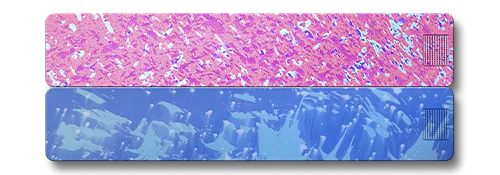 2-Week Vitamin Case 2.0 - Image 27