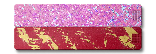 2-Week Vitamin Case 2.0 - Image 27