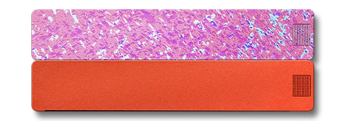 2-Week Vitamin Case 2.0 - Image 28