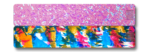 2-Week Vitamin Case 2.0 - Image 27