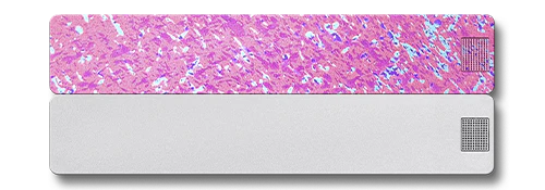 Weekly AM-PM Vitamin Case 2.0 - Image 27