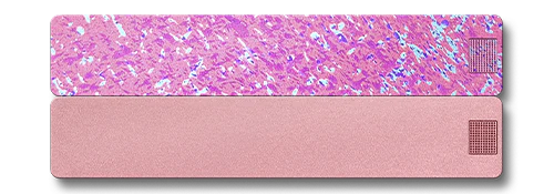 Weekly AM-PM Vitamin Case 2.0 - Image 27