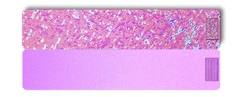 2-Week Vitamin XL Case 2.0 - Image 21