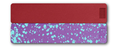 2-Week Vitamin XL Case 2.0 - Image 15