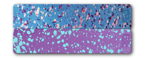 2-Week Vitamin XL Case 2.0 - Image 2