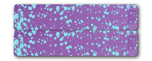 2-Week Vitamin XL Case 2.0 - Image 3