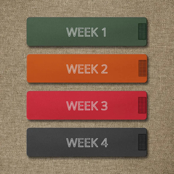 Monthly Pill Case Bundle - Image 3