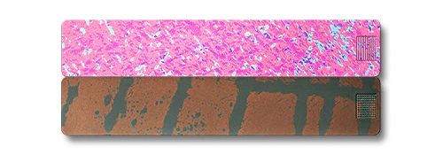 2-Week Pill Case 2.0 - Image 27