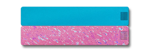 2-Week Pill Case 2.0 - Image 10