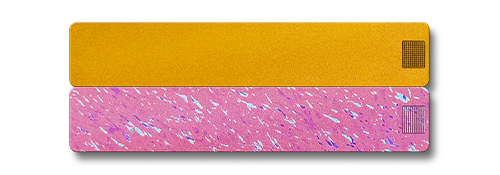 2-Week Pill Case 2.0 - Image 11