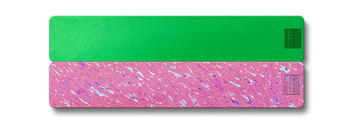 2-Week Pill Case 2.0 - Image 13