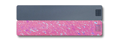 2-Week Pill Case 2.0 - Image 16