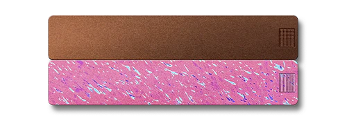 2-Week Pill Case 2.0 - Image 17