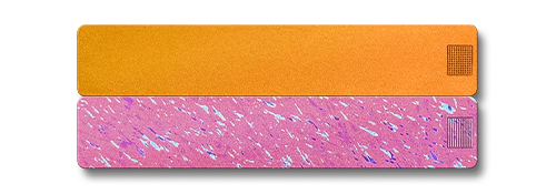2-Week Pill Case 2.0 - Image 18