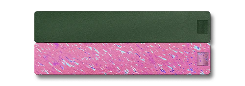 2-Week Pill Case 2.0 - Image 2