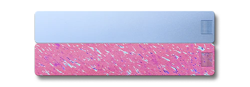 2-Week Pill Case 2.0 - Image 22