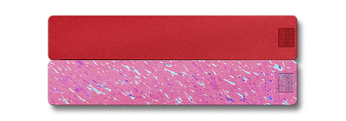 2-Week Pill Case 2.0 - Image 3